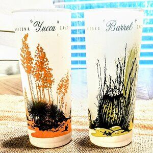 Blakely Mid Century Arizona Frosted  Highball Glasses